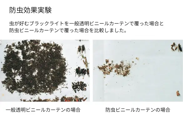 防虫効果実験の結果