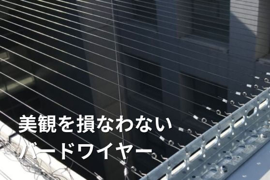 防鳥ワイヤー