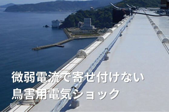 電気ショック