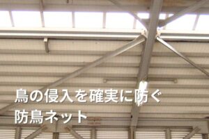鳥害対策（防鳥）の工事
