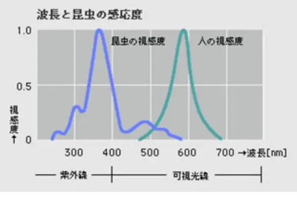 異物混入対策