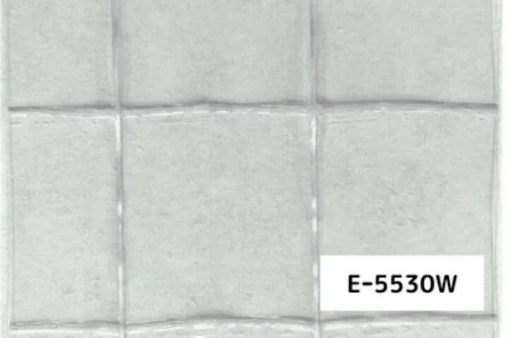 プライキャンバスE-5530W